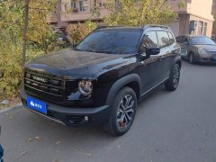 Great Wall Dachshund 1.5T DCT Border Collie Edition - ფოტო 1