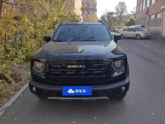 Great Wall Dachshund 1.5T DCT Border Collie Edition - ფოტო 2