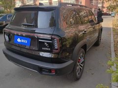 Great Wall Dachshund 1.5T DCT Border Collie Edition - ფოტო 3