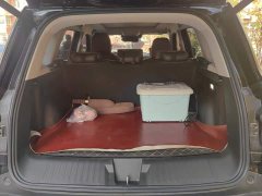Great Wall Dachshund 1.5T DCT Border Collie Edition - ფოტო 4