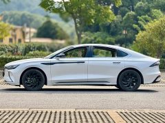 Lincoln Z 2.0T - ფოტო 4