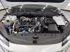 Changan Eado Blue Whale 1.5T 500Bar Luxury - ფოტო 10