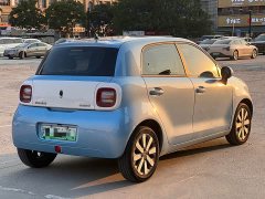 ORA Black Cat 351km Luxury - ფოტო 4