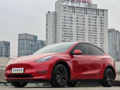 Tesla Model Y Long Range All-Wheel Drive - ფოტო 1