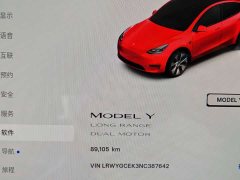Tesla Model Y Long Range All-Wheel Drive - ფოტო 11