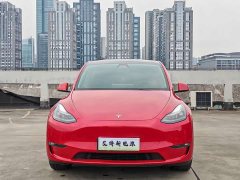 Tesla Model Y Long Range All-Wheel Drive - ფოტო 2