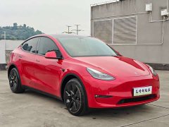 Tesla Model Y Long Range All-Wheel Drive - ფოტო 3
