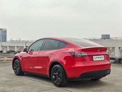 Tesla Model Y Long Range All-Wheel Drive - ფოტო 5