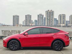 Tesla Model Y Long Range All-Wheel Drive - ფოტო 6
