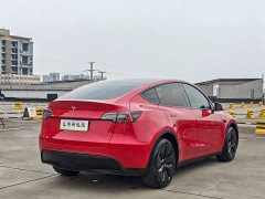 Tesla Model Y Long Range All-Wheel Drive - ფოტო 7