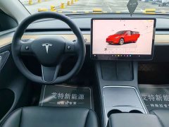 Tesla Model Y Long Range All-Wheel Drive - ფოტო 8