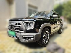 Great Wall Dachshund 2.0T DCT Chinese Rural Dog Edition - ფოტო 1