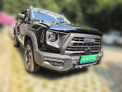 Great Wall Dachshund 2.0T DCT Chinese Rural Dog Edition - ფოტო 3