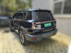 Great Wall Dachshund 2.0T DCT Chinese Rural Dog Edition - ფოტო 4