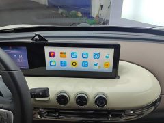Wuling Binguo 333km Joy Edition - ფოტო 13