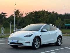 Tesla Model Y Rear-Wheel Drive - ფოტო 1