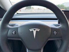 Tesla Model Y Rear-Wheel Drive - ფოტო 10