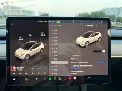 Tesla Model Y Rear-Wheel Drive - ფოტო 11