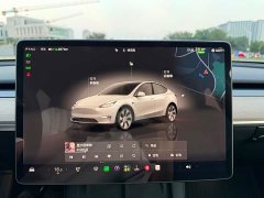 Tesla Model Y Rear-Wheel Drive - ფოტო 12