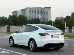 Tesla Model Y Rear-Wheel Drive - ფოტო 18