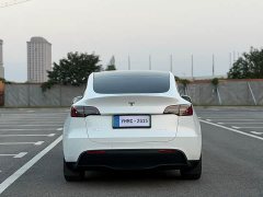 Tesla Model Y Rear-Wheel Drive - ფოტო 19