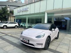 Tesla Model Y 2022 Long Range All-Wheel Drive - ფოტო 1