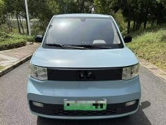 Wuling Hongguang MINIEV 2020 Easy Edition LFP Battery - ფოტო 2