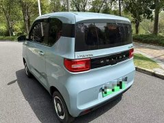 Wuling Hongguang MINIEV 2020 Easy Edition LFP Battery - ფოტო 6