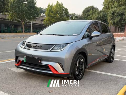 2023 BYD Dolphin 405km Fashion Edition - ავტომობილი ჩინეთიდან