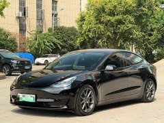 Tesla Model 3 Standard Range RWD Upgrade 3D6 - ფოტო 1