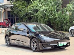 Tesla Model 3 Standard Range RWD Upgrade 3D6 - ფოტო 3