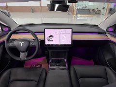 Tesla Model 3 Standard Range RWD Upgrade 3D6 - ფოტო 5