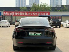 Tesla Model 3 Standard Range RWD Upgrade 3D6 - ფოტო 8