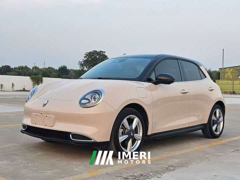 2023 ORA Good Cat 401km Standard Range Deluxe Ternary Lithium - ავტომობილი ჩინეთიდან