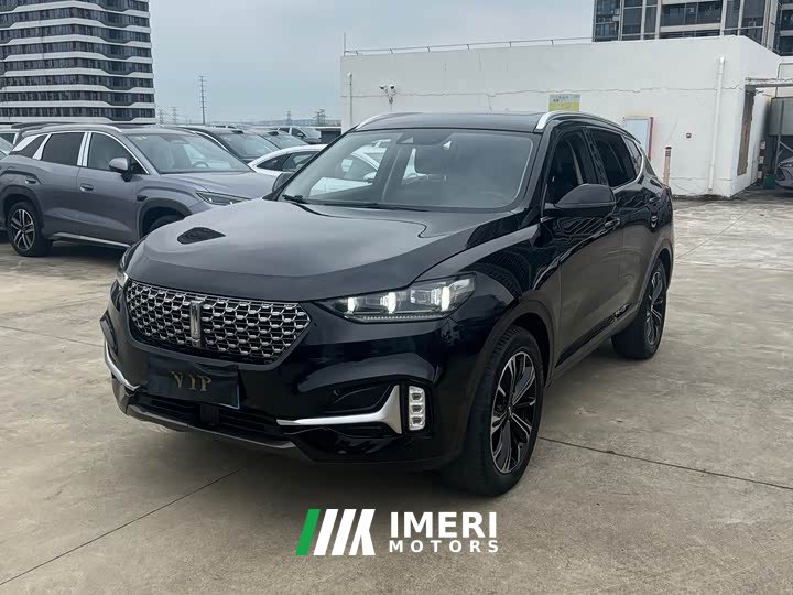 Great Wall WEY VV6 2.0T Two-Wheel Drive Smart Protection - ავტომობილი ჩინეთიდან