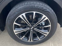 Great Wall WEY VV6 2.0T Two-Wheel Drive Smart Protection - ფოტო 18