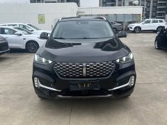 Great Wall WEY VV6 2.0T Two-Wheel Drive Smart Protection - ფოტო 2