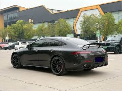 Mercedes-Benz AMG GT AMG GT 50 Four-Door Coupe China Special Edition - ფოტო 18