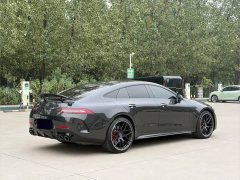 Mercedes-Benz AMG GT AMG GT 50 Four-Door Coupe China Special Edition - ფოტო 19
