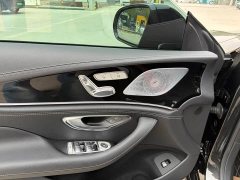 Mercedes-Benz AMG GT AMG GT 50 Four-Door Coupe China Special Edition - ფოტო 5