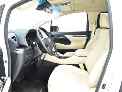 Toyota Vellfire 2020 Dual Motor 2.5L HV Premium Edition - ფოტო 14