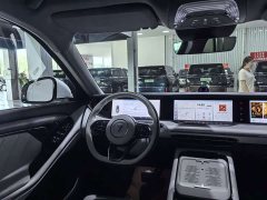 Voyah Lantu FREE 2025 318 318km RWD World Tour Edition - ფოტო 6