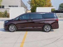 Buick GL8 Avenir Six-Seat Wisdom Courtesy Edition - ფოტო 4