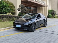 Tesla Model Y Rear-Wheel Drive - ფოტო 1