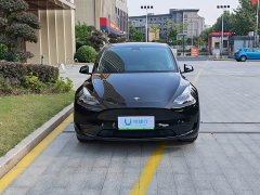 Tesla Model Y Rear-Wheel Drive - ფოტო 3