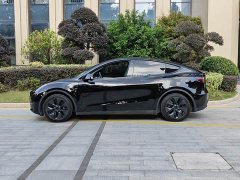 Tesla Model Y Rear-Wheel Drive - ფოტო 4