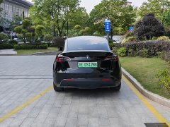 Tesla Model Y Rear-Wheel Drive - ფოტო 6