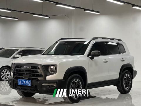 2024 Great Wall Dachshund 2.0T DCT Chinese Rural Dog Edition - ავტომობილი ჩინეთიდან