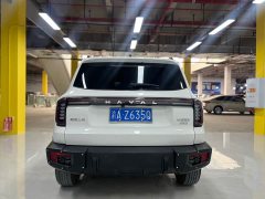Great Wall Dachshund 2.0T DCT Chinese Rural Dog Edition - ფოტო 15