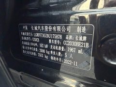 Tank 300 2023 Off-Road Edition 2.0T Conqueror - ფოტო 12